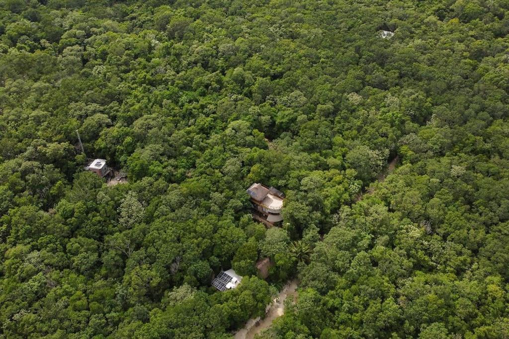Palapa De La Selva With Cenotes Сasa de vacaciones