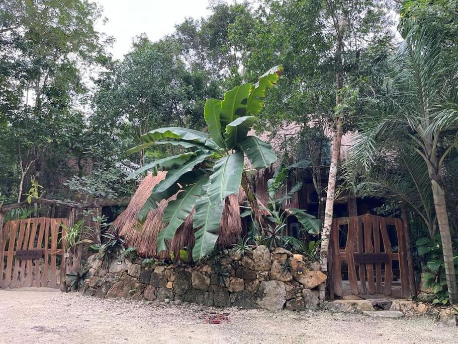 Сasa de vacaciones Palapa De La Selva With Cenotes