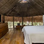 Palapa De La Selva With Cenotes