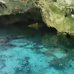 Palapa De La Selva With Cenotes