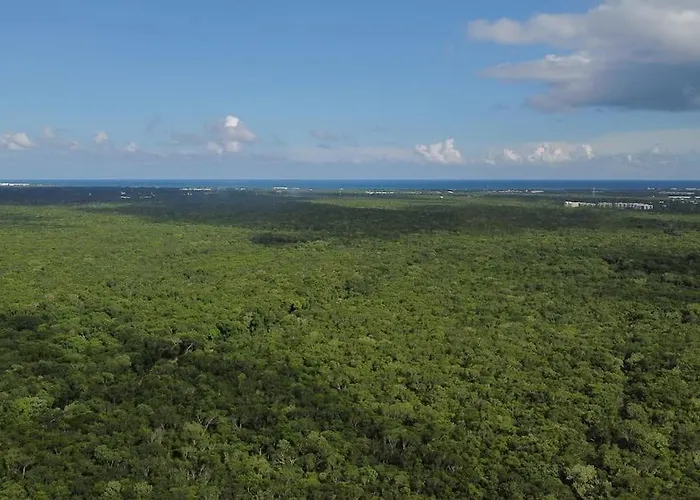 Palapa De La Selva With Cenotes