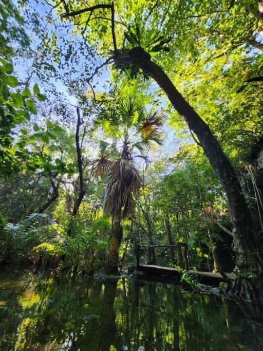 Palapa De La Selva With Cenotes Playa del Carmen