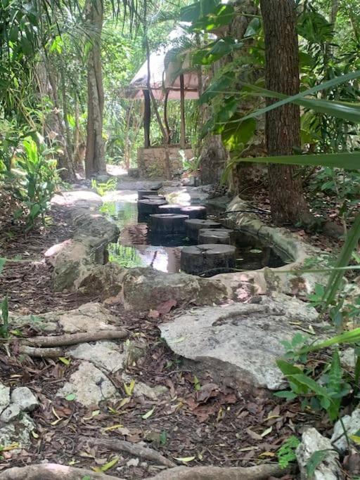 Palapa De La Selva With Cenotes