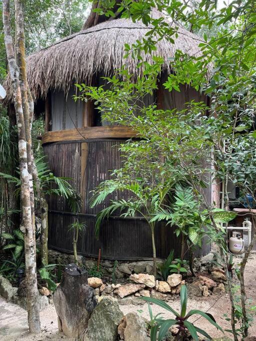 Palapa De La Selva With Cenotes
