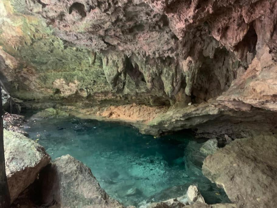 Palapa De La Selva With Cenotes * Playa del Carmen