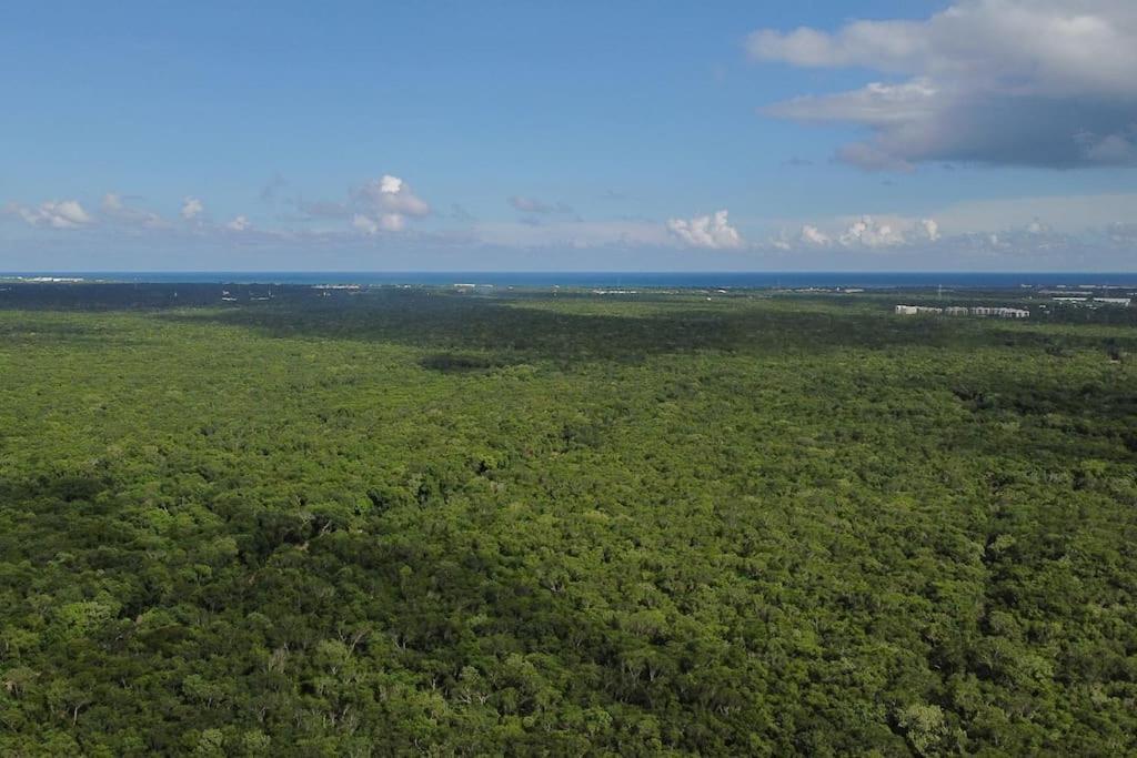 Сasa de vacaciones Palapa De La Selva With Cenotes *