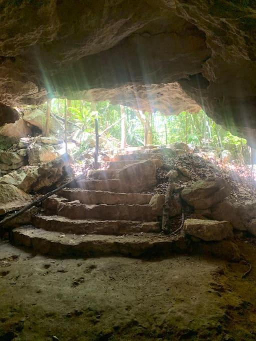 Palapa De La Selva With Cenotes *