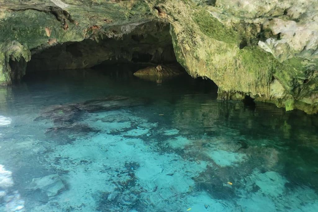 Palapa De La Selva With Cenotes Сasa de vacaciones Playa del Carmen