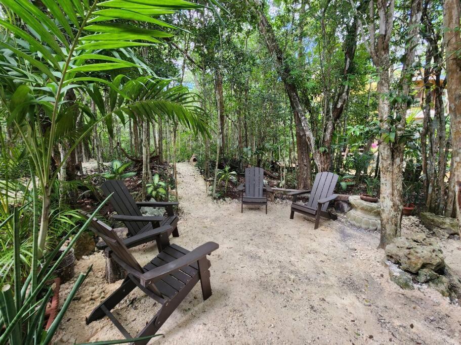 Palapa De La Selva With Cenotes * Playa del Carmen